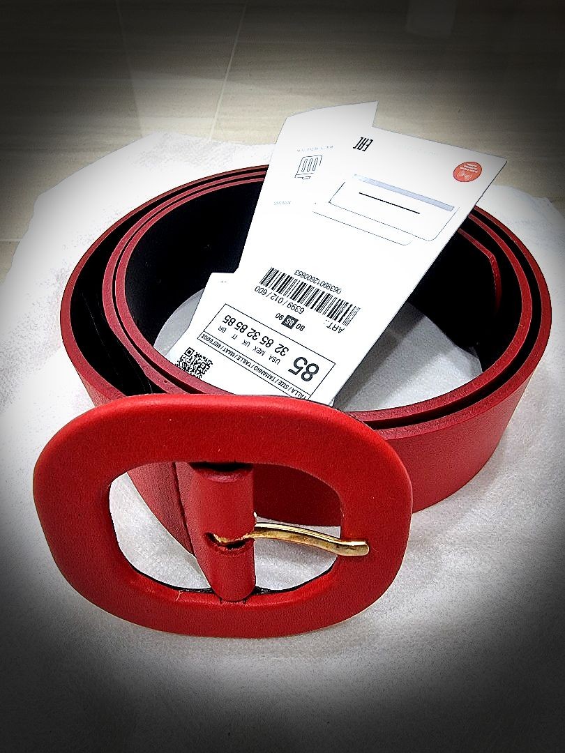 Zara Ladies Belt