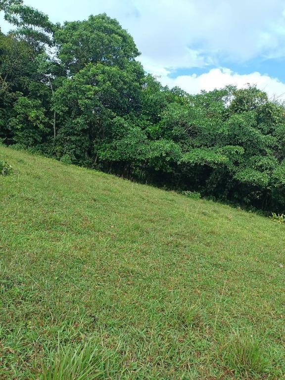 13 Hectares Farm lot for Sale in Cavinti Laguna Good for investment