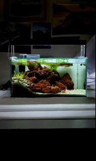 (Category: ) located in . Submitted by _illustroja_ (Listing ID 1169225437, Image 1). Description: .