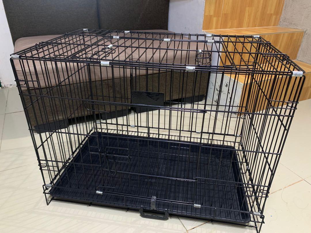 Pet express dog cage sale