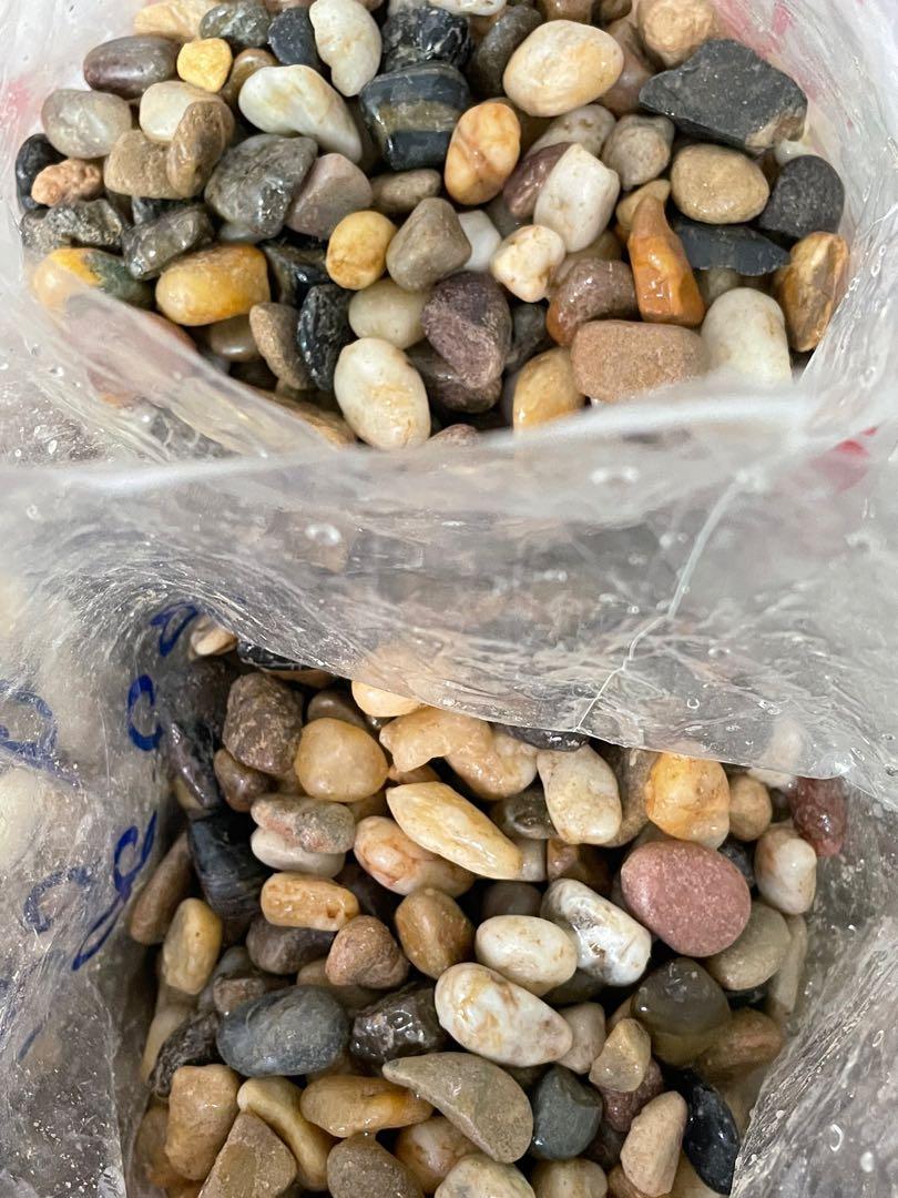 Fish Tank Pebbles, Pet Supplies, Homes & Other Pet Accessories on Carousell