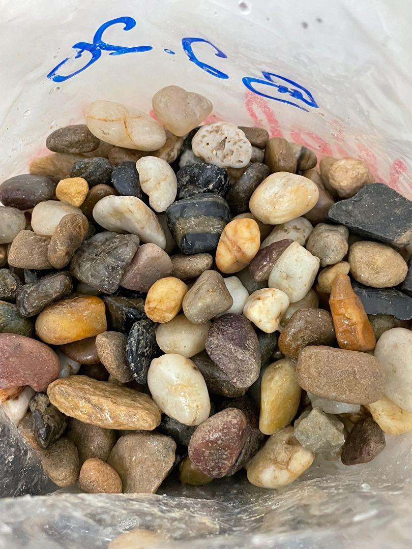 Fish Tank Pebbles, Pet Supplies, Homes & Other Pet Accessories on Carousell