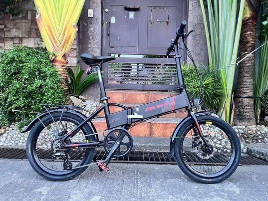 Folding E Bike Mountainpeak E300 Series