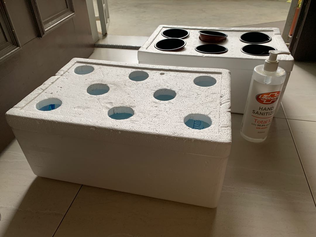 Hydroponics styro box (Polystyrene ), Furniture & Home Living