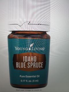 Idaho blue spruce young living62940515140994110