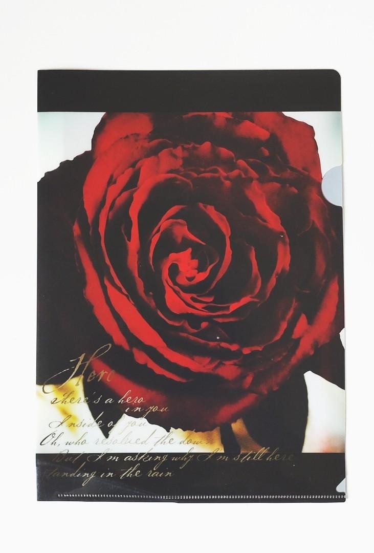 🧧JUN22 新品初登场‼️X JAPAN( XJAPAN )HIDE/YOSHIKI : A4 SIZE