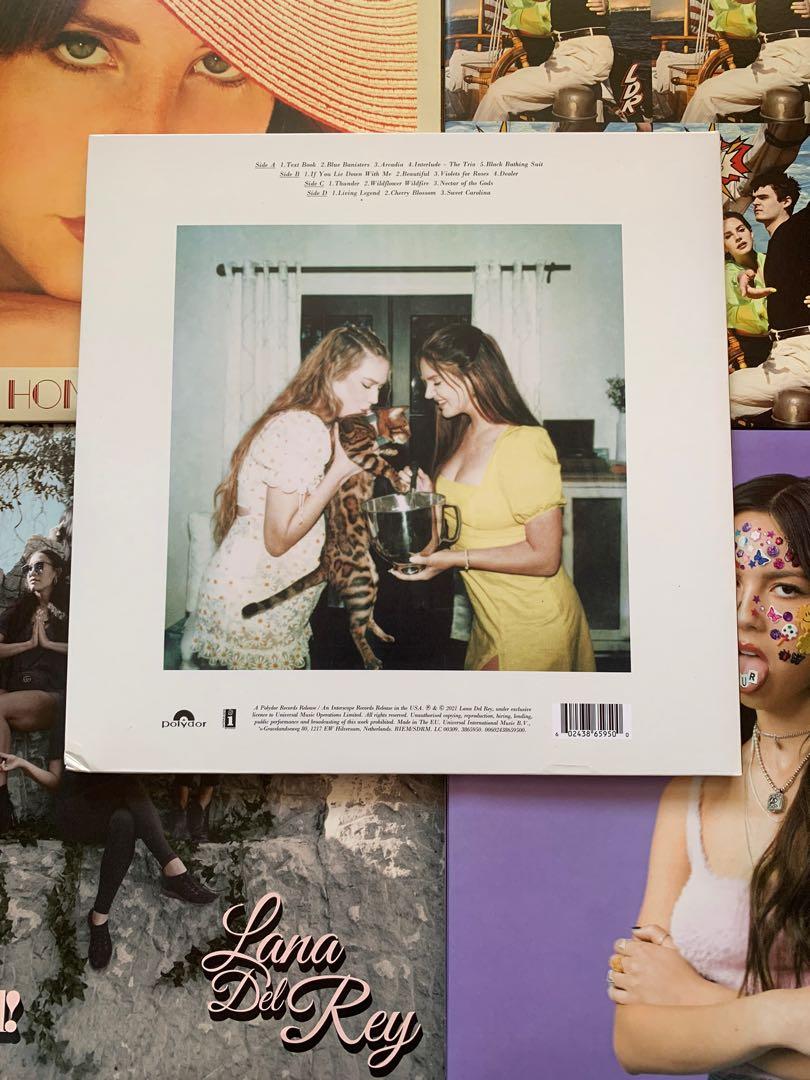 Lana Del Rey Blue Banisters ( Red vinyl ), Hobbies & Toys, Music