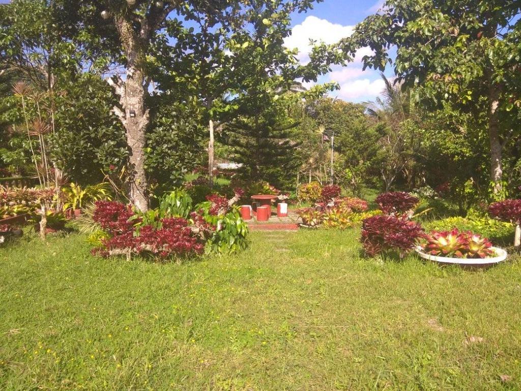 Mendez Cavite Lot for sale Ideal for event place P35 Million, Property