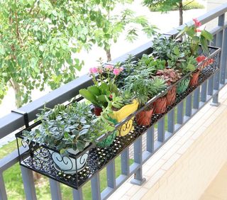 (Category: ) located in . Submitted by scsw13 (Listing ID 1169221857, Image 1). Description: .