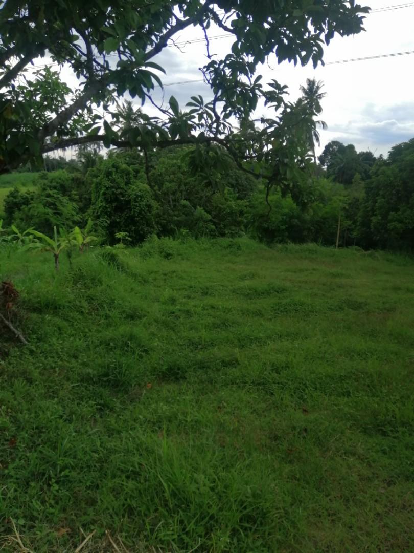 Rush sale 1.8M only 2,450 sqm farm lot at Calaca, Batangas via
