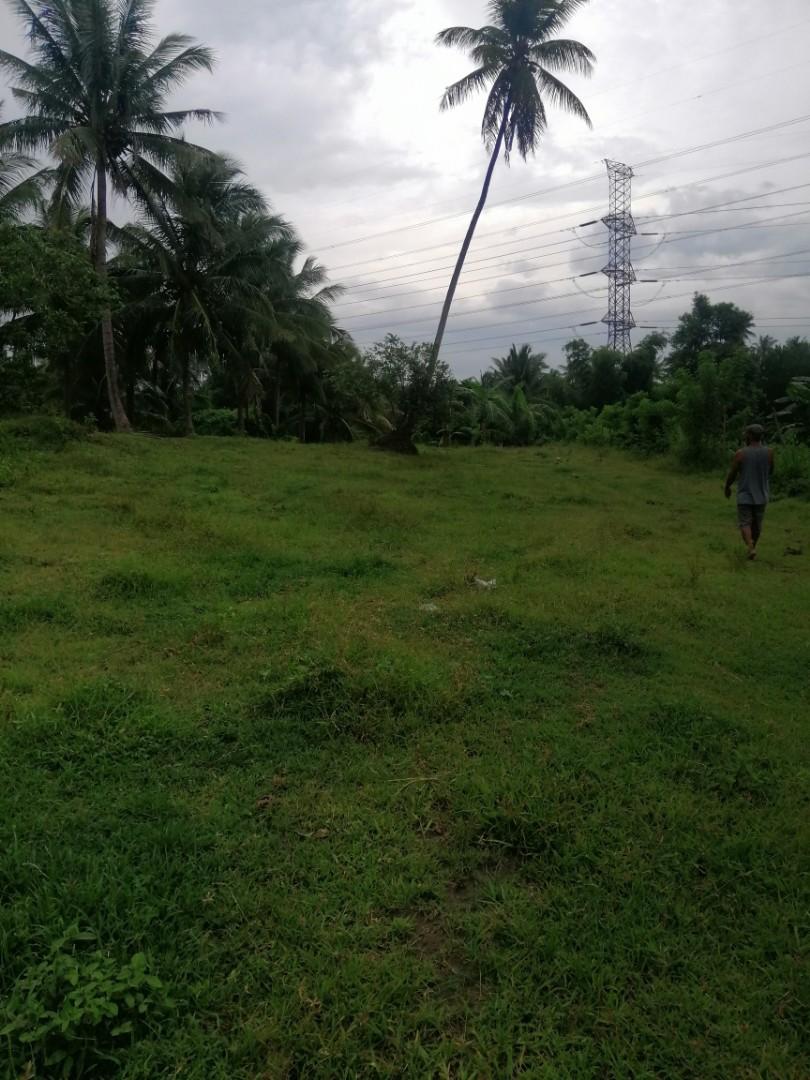 Rush sale 1.8M only 2,450 sqm farm lot at Calaca, Batangas via