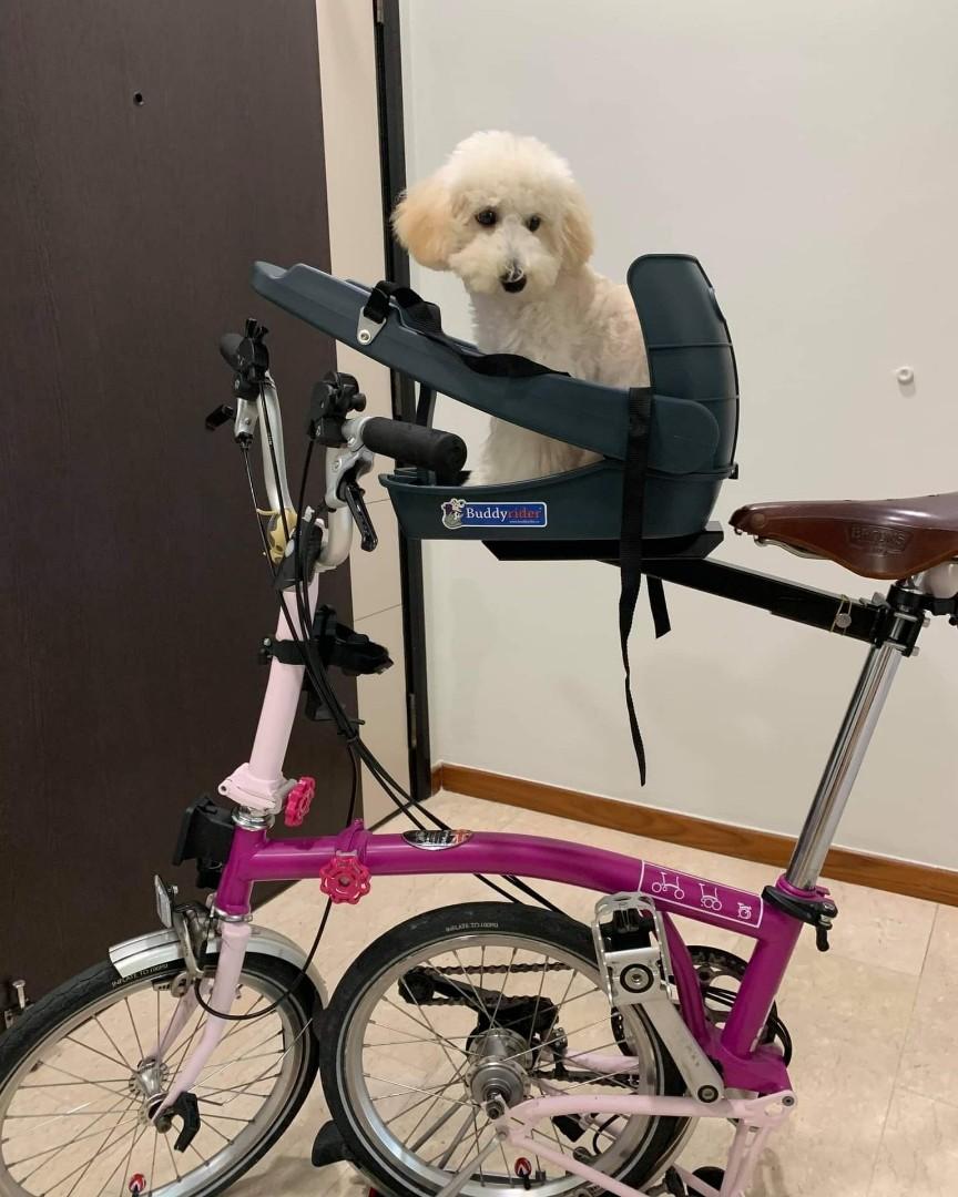 Buddyrider bicycle pet seat sales