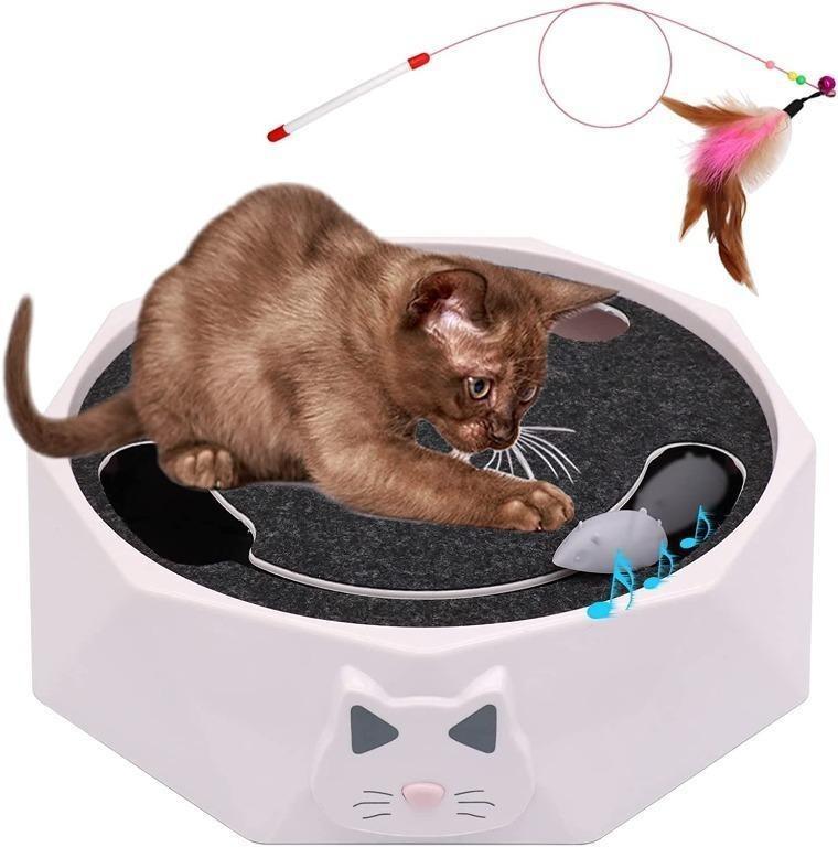 Electronic mouse cat online toy