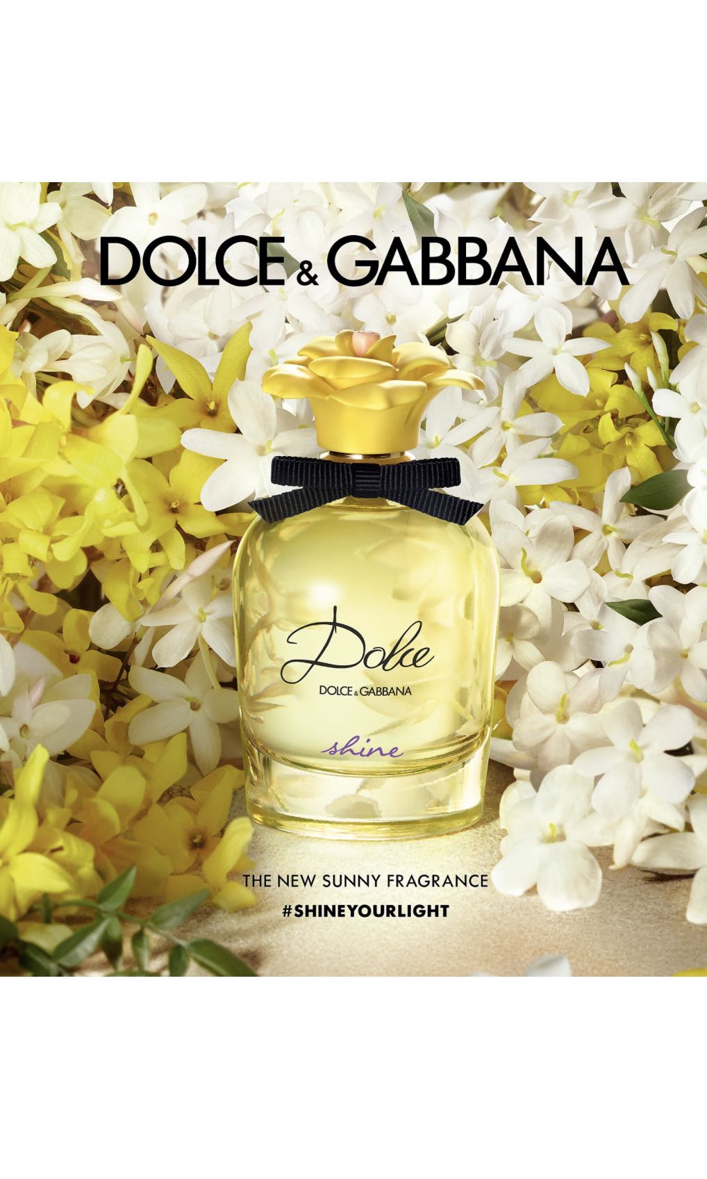 Dolce & best sale gabbana shine perfume