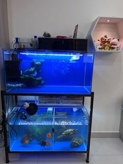 (Category: ) located in . Submitted by 666jp666 (Listing ID 1169429679, Image 1). Description: .