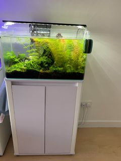 （分類：）位於 。 由 user13452 提交（商品編號 1169290887，圖片 1）。簡介： 。