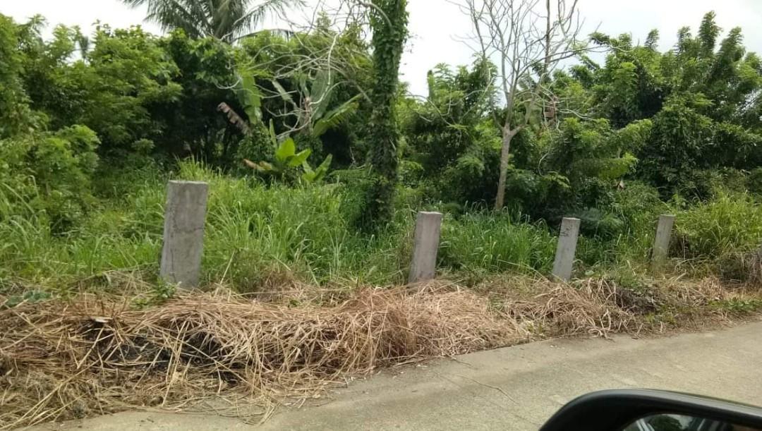 For Sale Farm Lot, Property, For Sale, Lot on Carousell