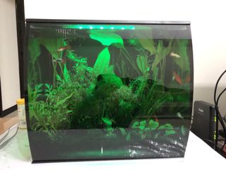 (Category: ) located in . Submitted by senthilBuyer (Listing ID 1169361596, Image 1). Description: .