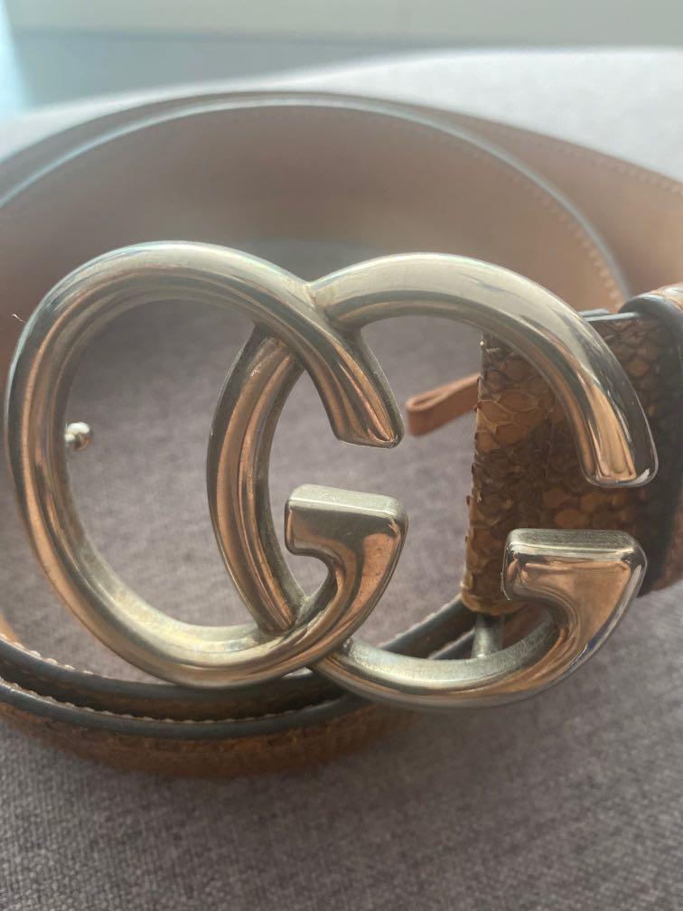 Python gucci belt outlet