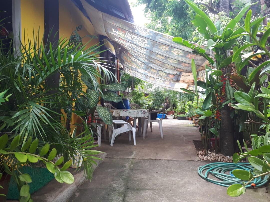 RUSH RUSH RUSH RUSH (Category: House & Lot) located in Pasig City. Submitted by cloud9dtxnc (Listing ID 1169250602, Image 3). Description: HOUSE FOR SALE location: Tagpos Hillside, Binangonan Rizal lot area: more or less 100sqm covered area: more or less 60sqm with space for store 2 rooms 1 bathroom sala kitchen with space on back yard with electricity installed with water installed.