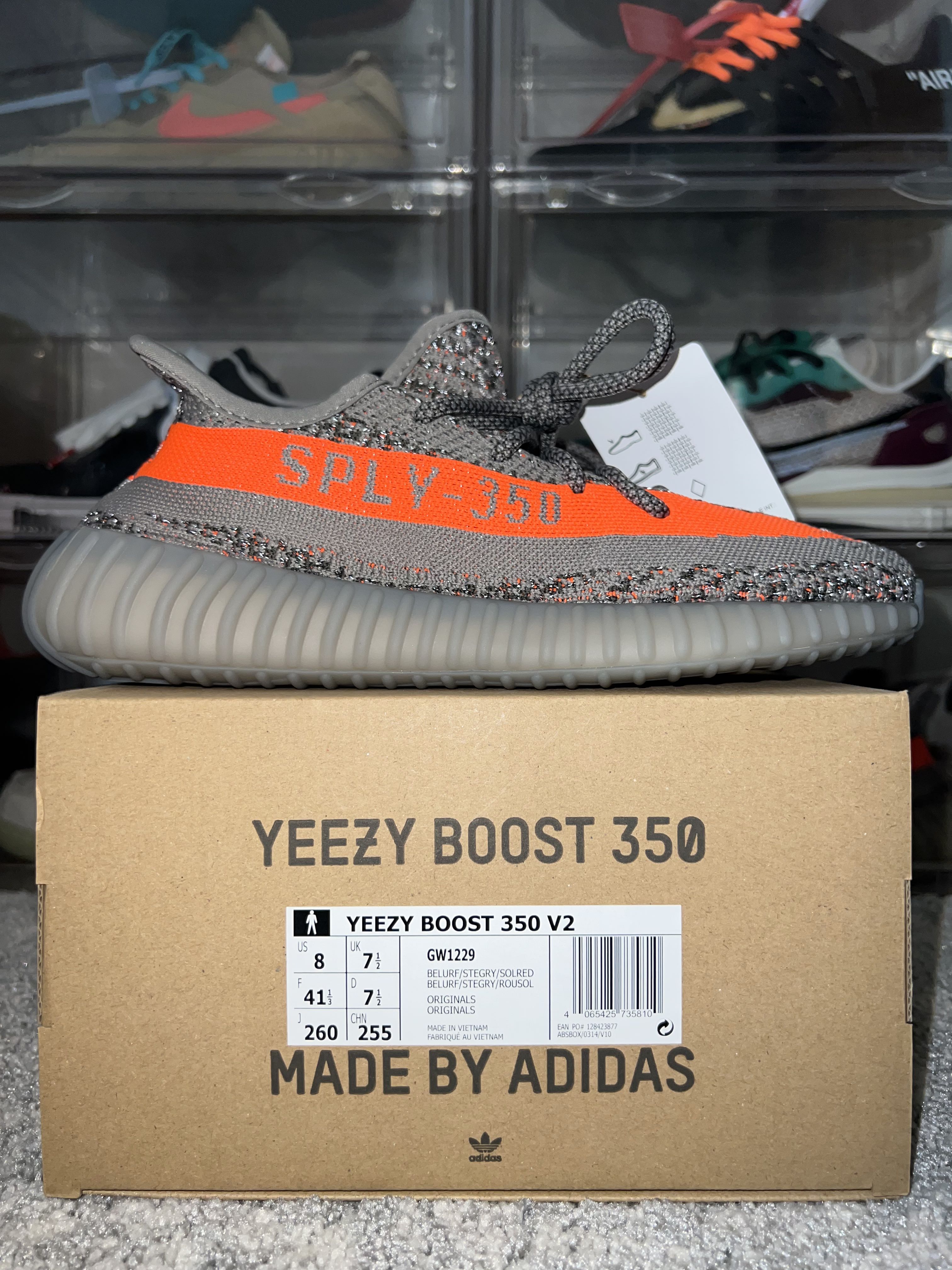 Beluga v3 online