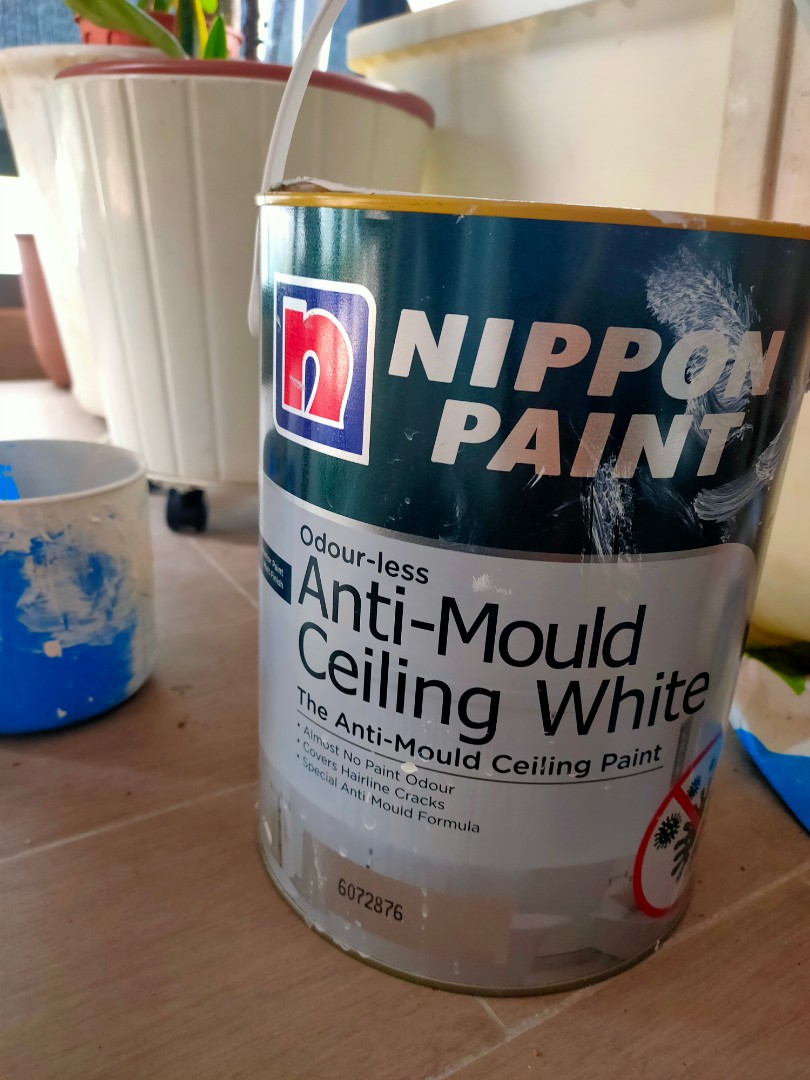 Anti Mould ceiling paint, Furniture & Home Living, Home Improvement