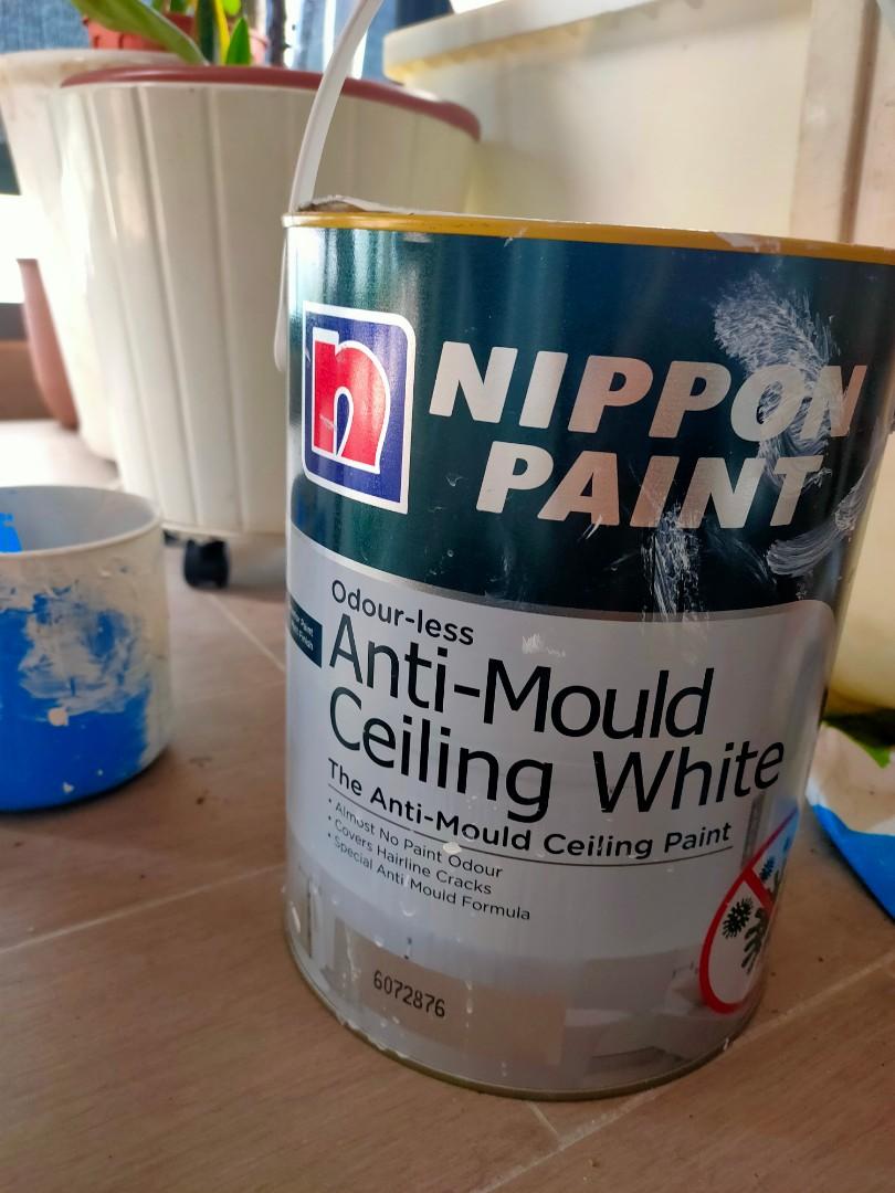 Anti Mould ceiling paint, Furniture & Home Living, Home Improvement