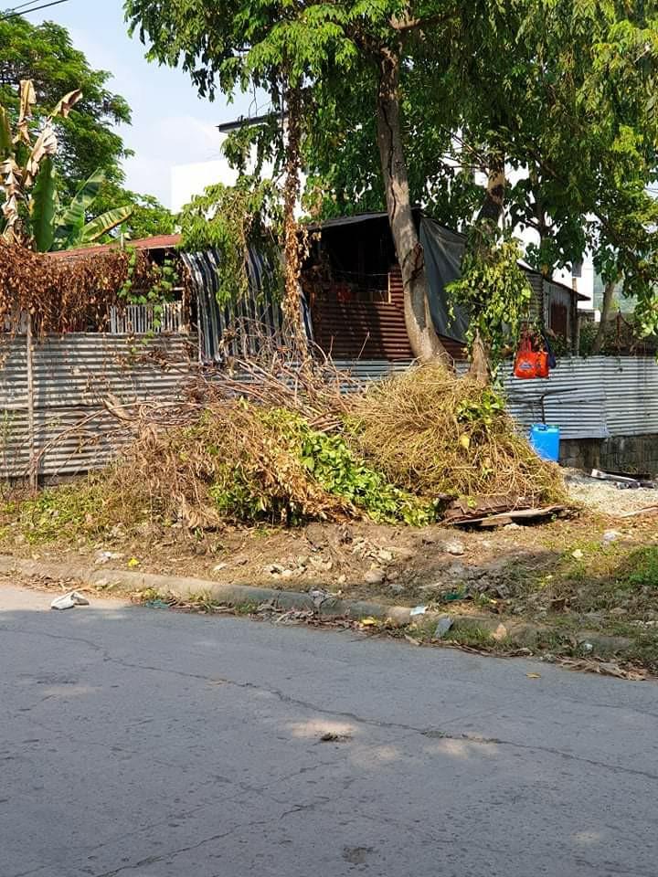 Commercial Lot for Sale San Mateo Rizal, Property, For Sale, Lot on