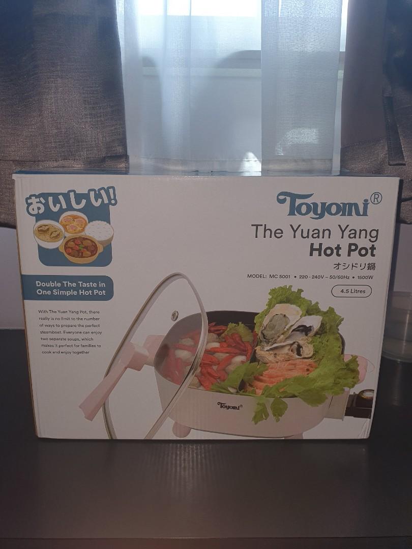 Dual Hot Pot, TV & Home Appliances, Kitchen Appliances, BBQ, Grills