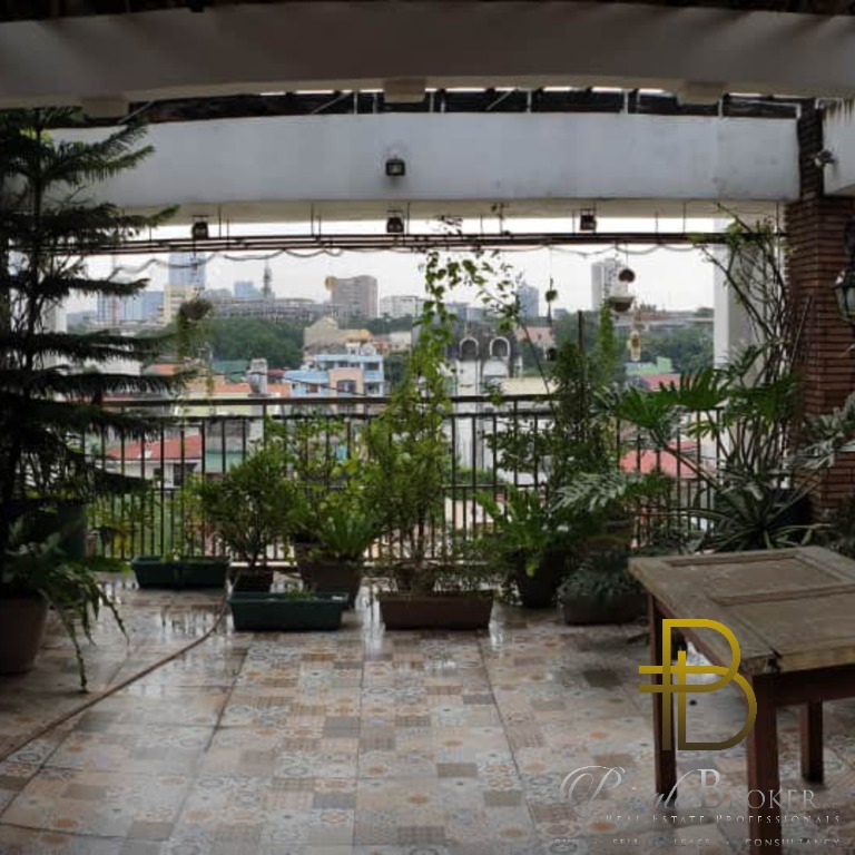 For Sale 4 Storey House and Lot in Roxas District Quezon City, Property