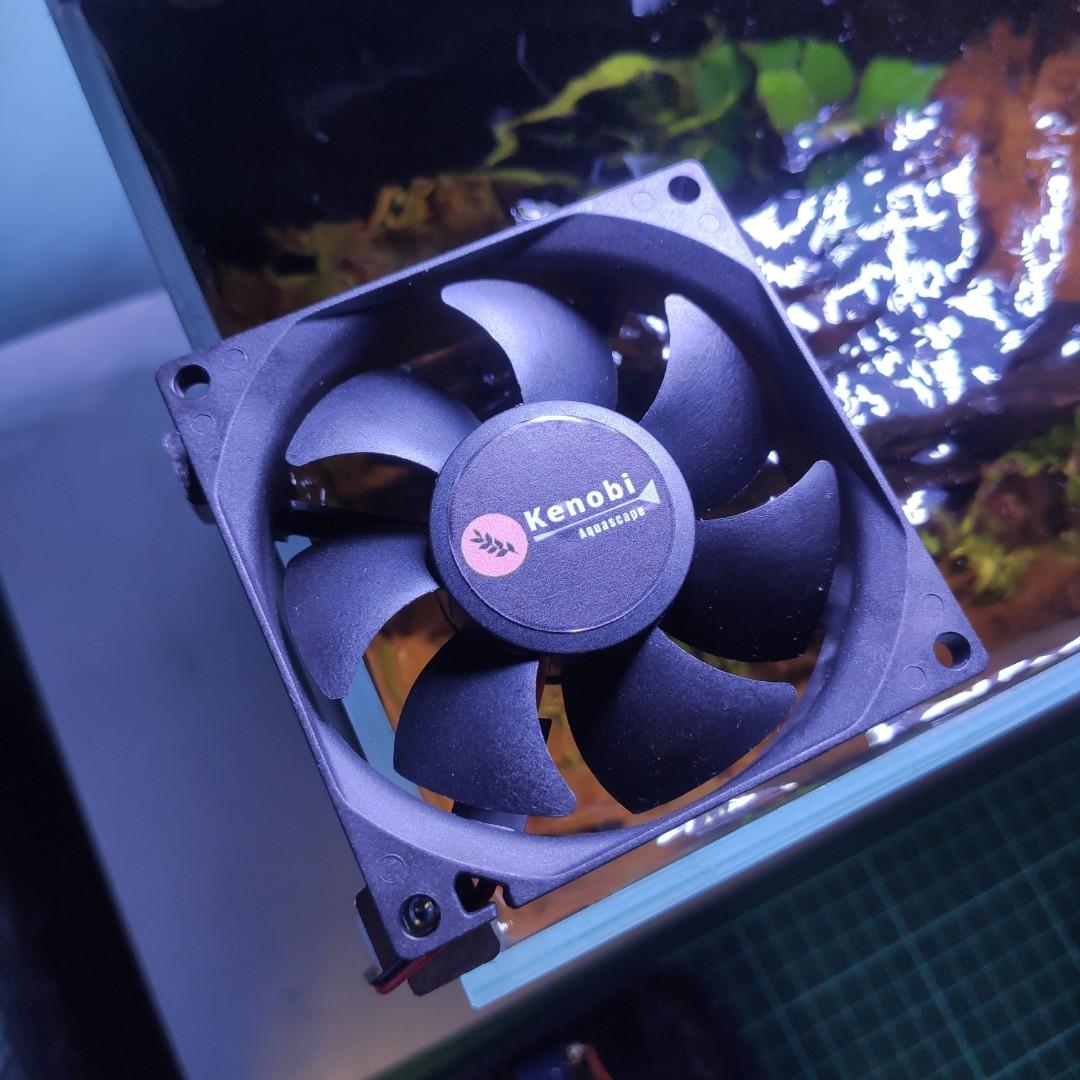 cooling fan aquascape