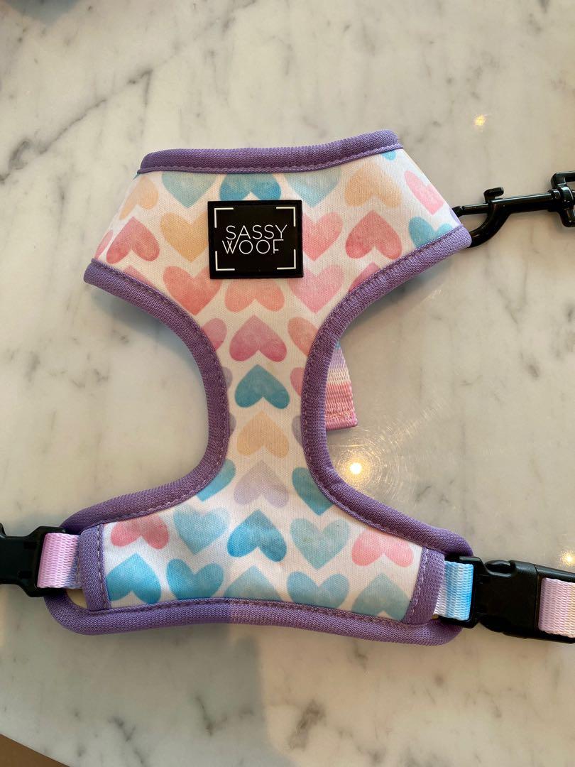 Sassy Woof Dog Harness XS, Pet Supplies, Homes & Other Pet Accessories