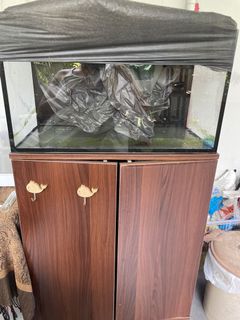 (Category: ) located in . Submitted by jayjey07101981 (Listing ID 1164408126, Image 1). Description: .