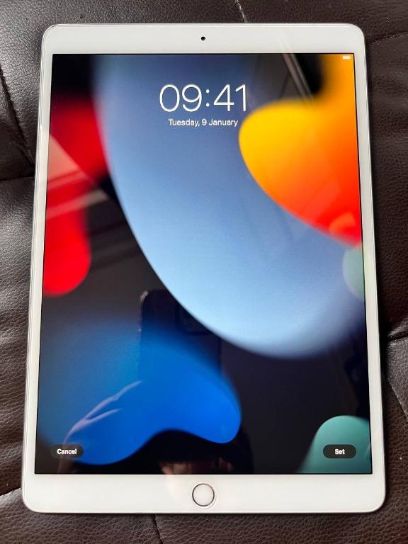 iPad Pro 10.5 256G セルラー　Apple Pencil付き iPadPro10.5 256GB セルラーゴールドApple Pencil付き iPadPro10.5