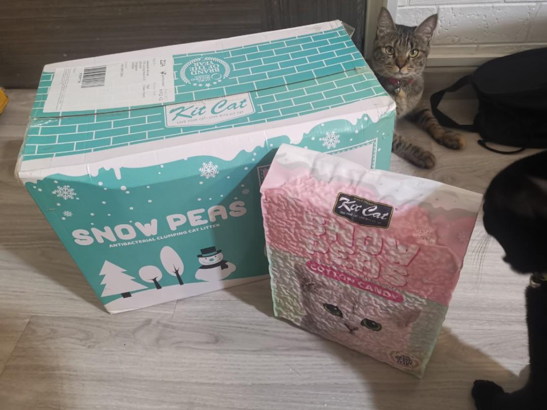 Kit Kat Snow Pea Cat Litter, Pet Supplies, Homes & Other Pet