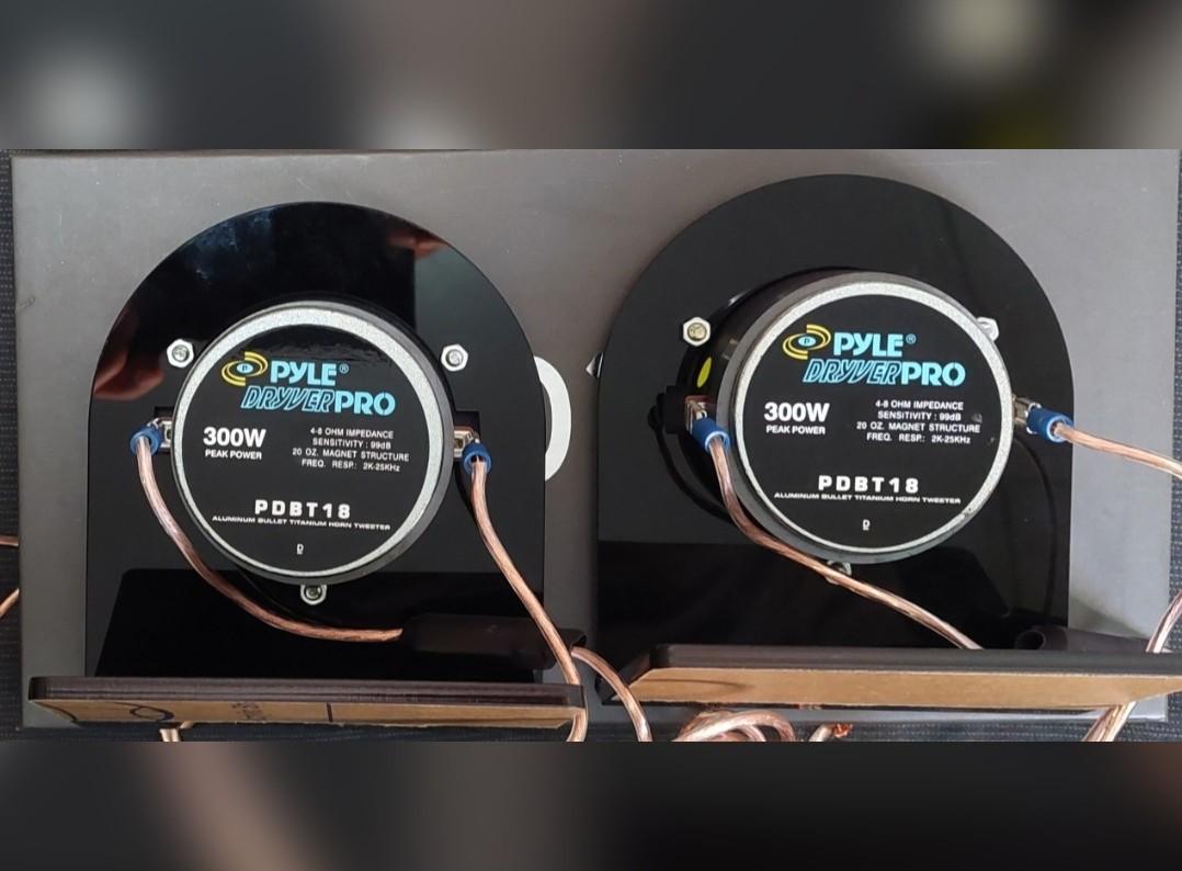 PYLE DRYVER PRO 31 4