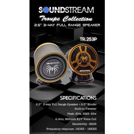 Soundstream full range store speaker