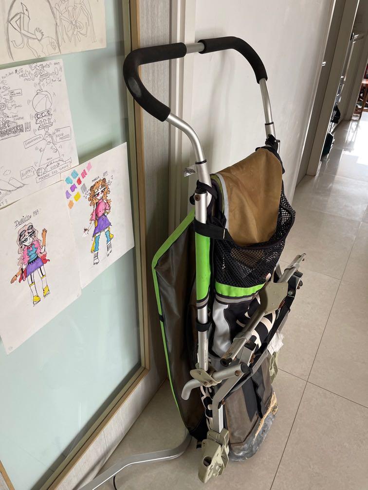 chariot thule cheetah 1