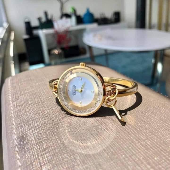 AUTHENTIC COACH WATCH