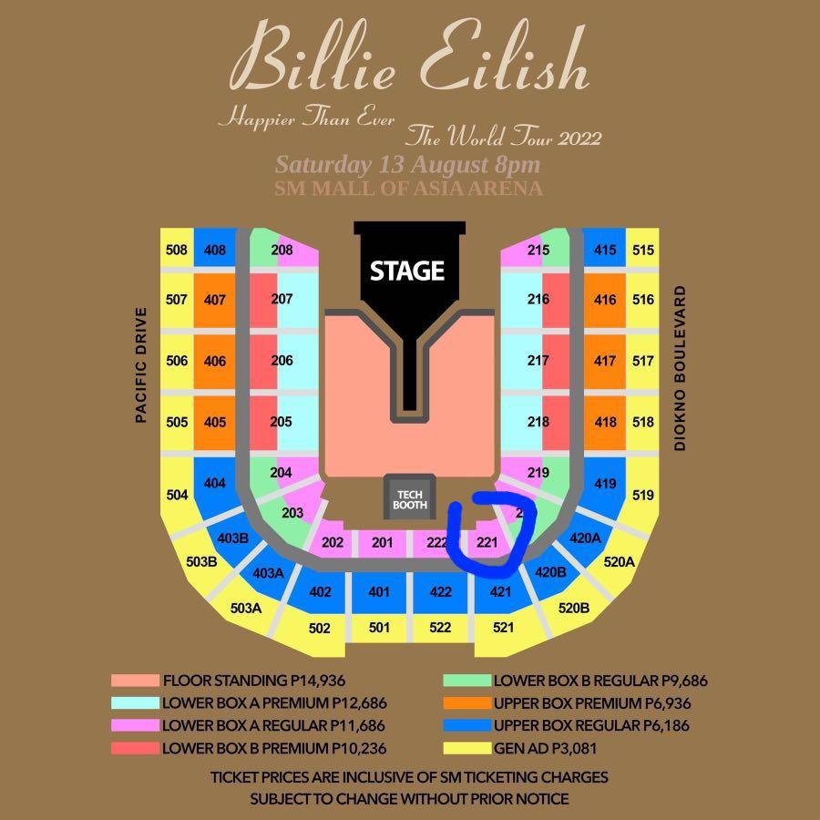 Billie Eilish Concert 2022 Ticket, Tickets & Vouchers, Event Tickets on Carousell
