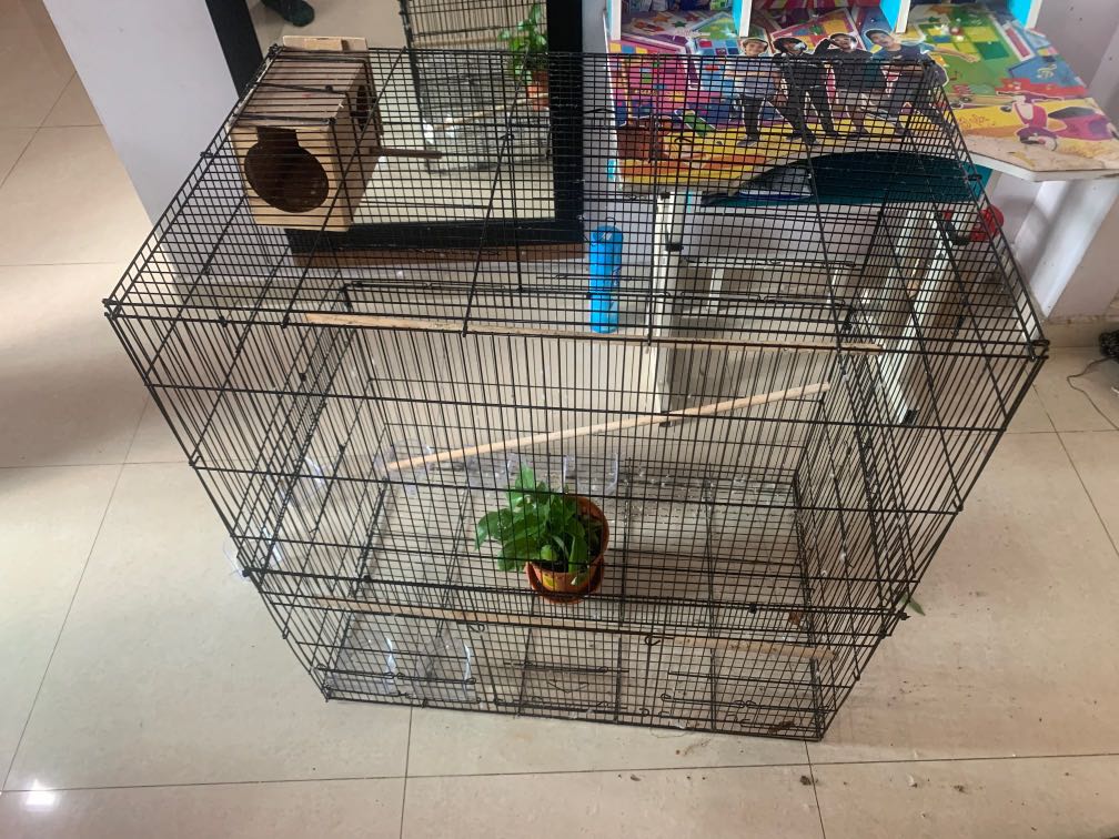 bird pet cage