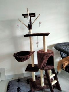 (Category: ) located in . Submitted by lovelysue (Listing ID 1169638472, Image 1). Description: .