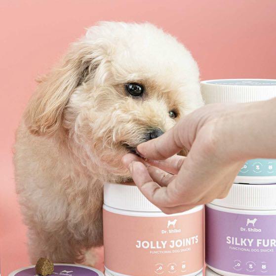 Dr. Shiba Dog Snacks in Jolly Joints, Pet Supplies, Pet Food on Carousell