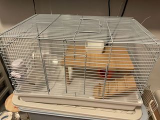 (Category: ) located in . Submitted by edith0808 (Listing ID 1169800180, Image 1). Description: .
