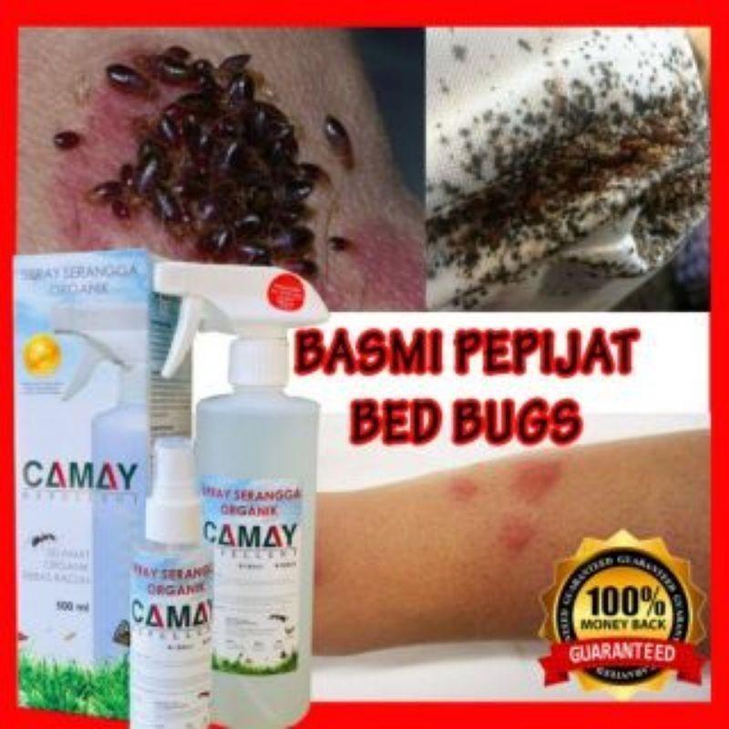 Camay Repellents Spray Serangga Organik Pet Supplies Homes Other Pet Accessories On Carousell