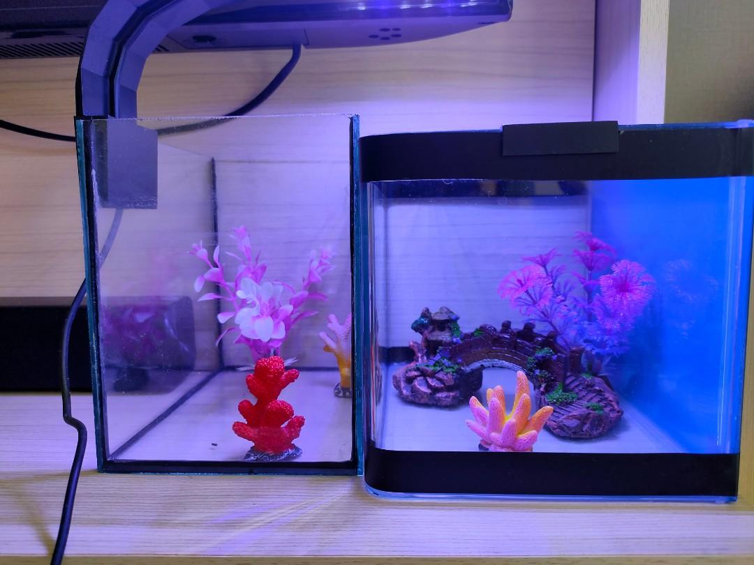 Fish Tank Aquarium With Led Light Pet Supplies Homes Other Pet Accessories On Carousell