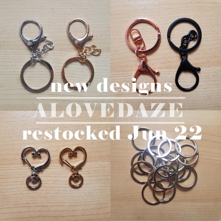 Keychain Split Ring Lobster Clasp Keyring Splitring keychain key
