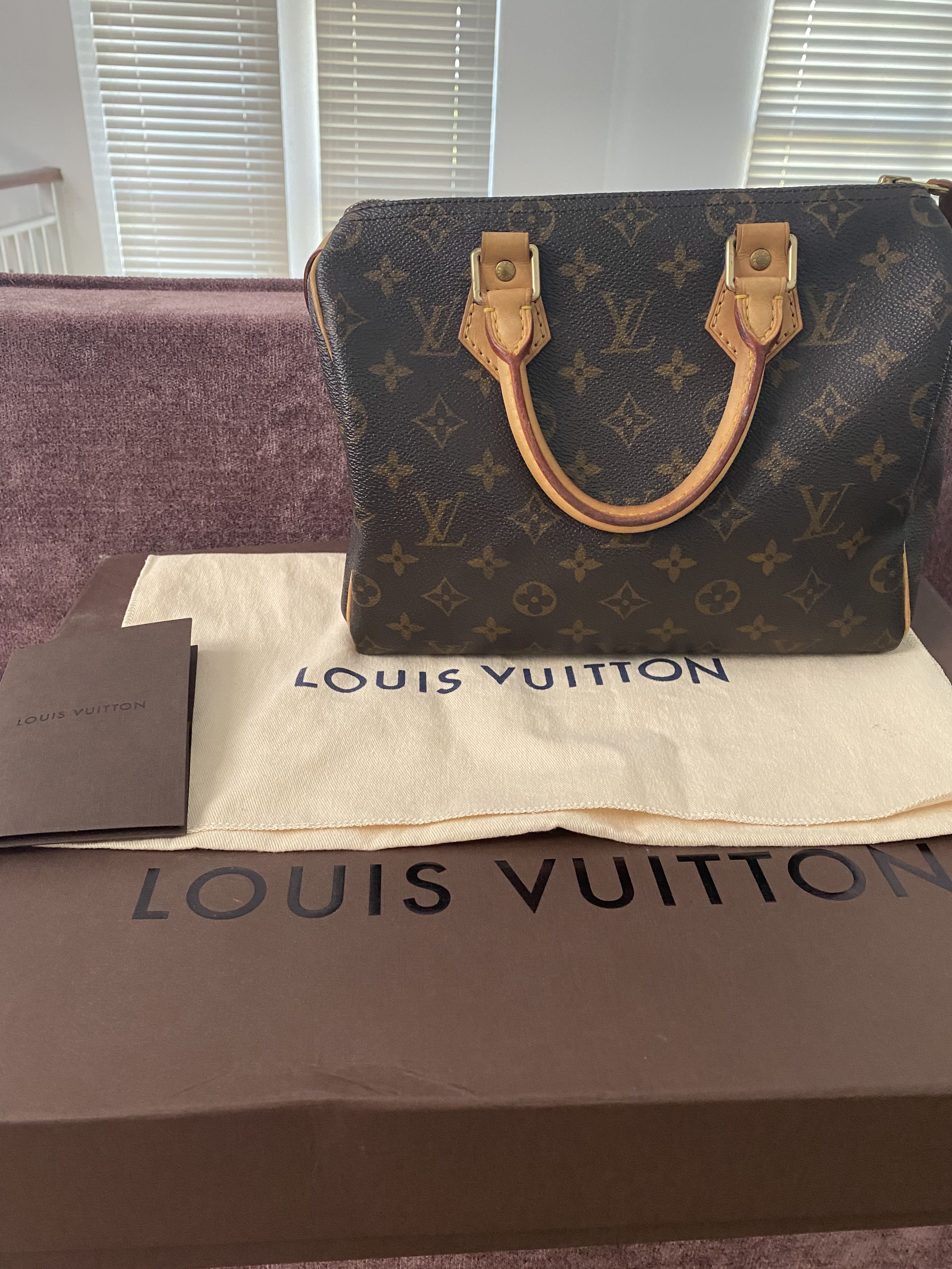 Louis Vuitton Speedy 25 Monogram  Tabita Bags  Tabita Bags with Love