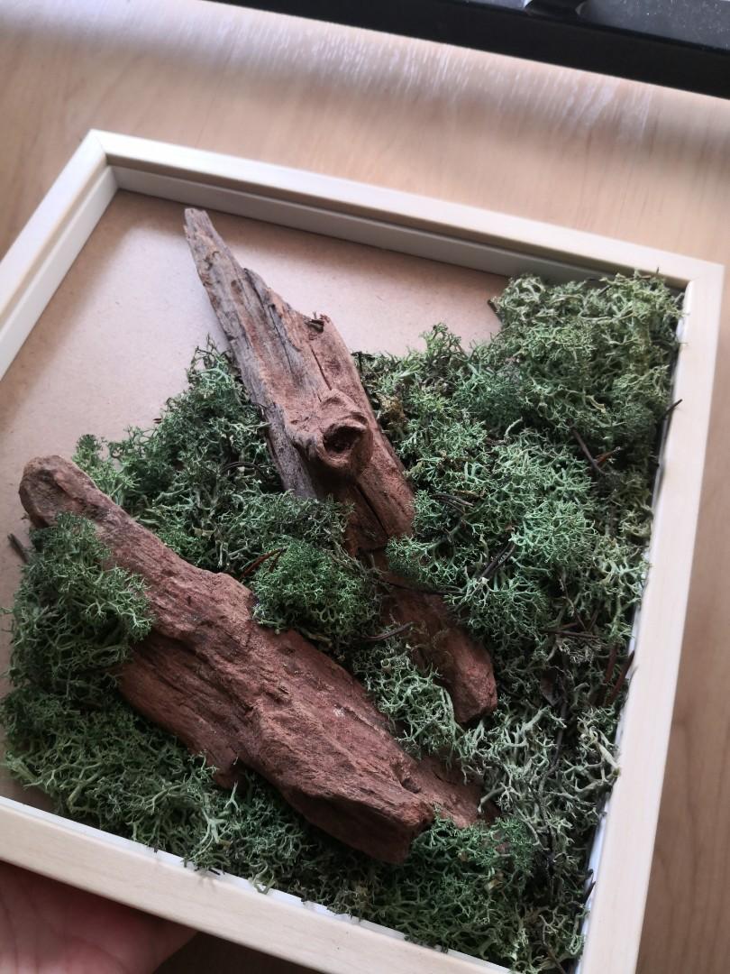 Natural wood and preserved moss IKEA wall frame, Furniture & Home
