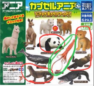 （分類：）位於 。 由 kakakapo 提交（商品編號 1149979526，圖片 1）。簡介： 。